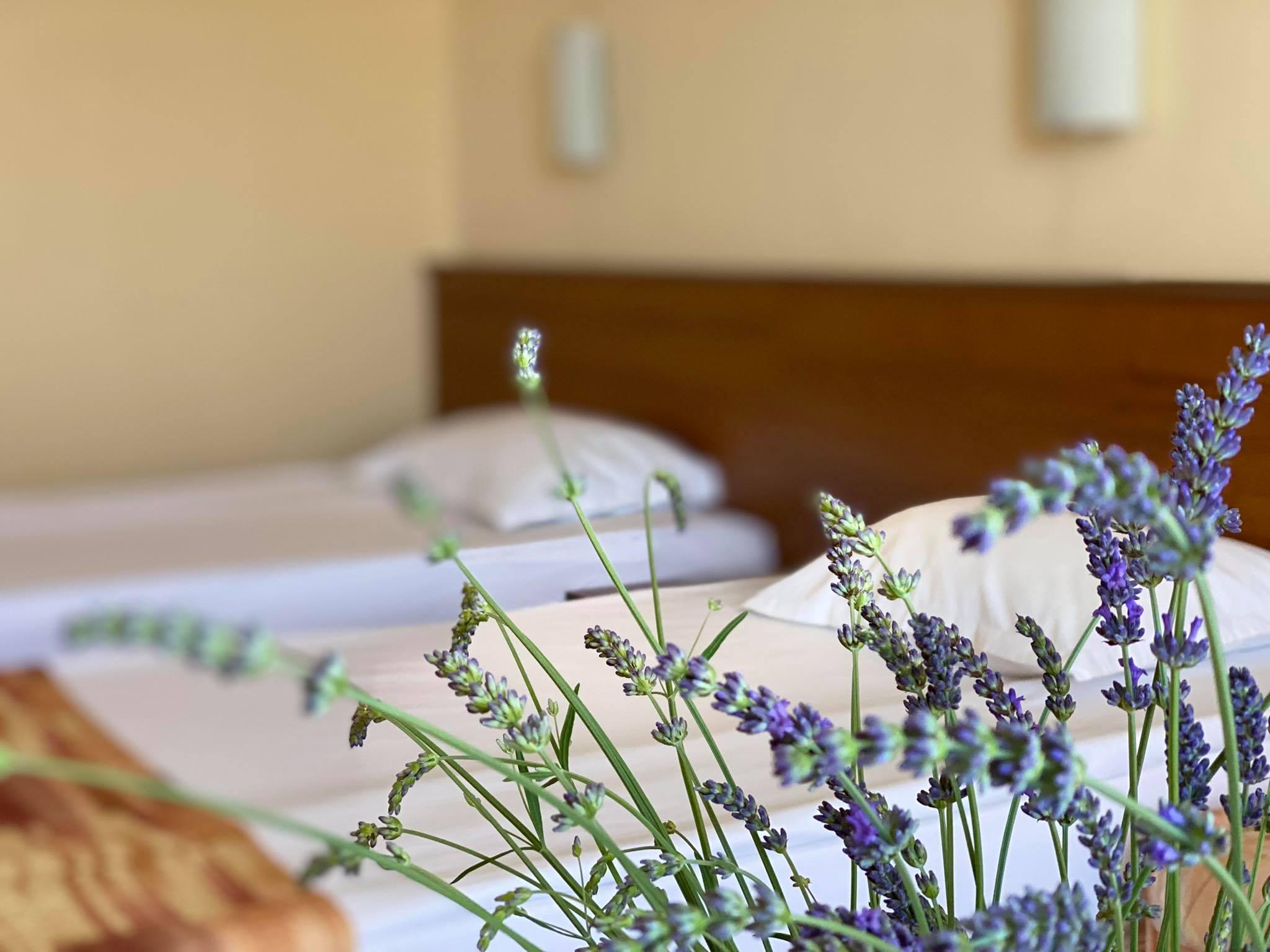 Hotel Plamena Palace Приморско Экстерьер фото